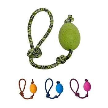 petpoint