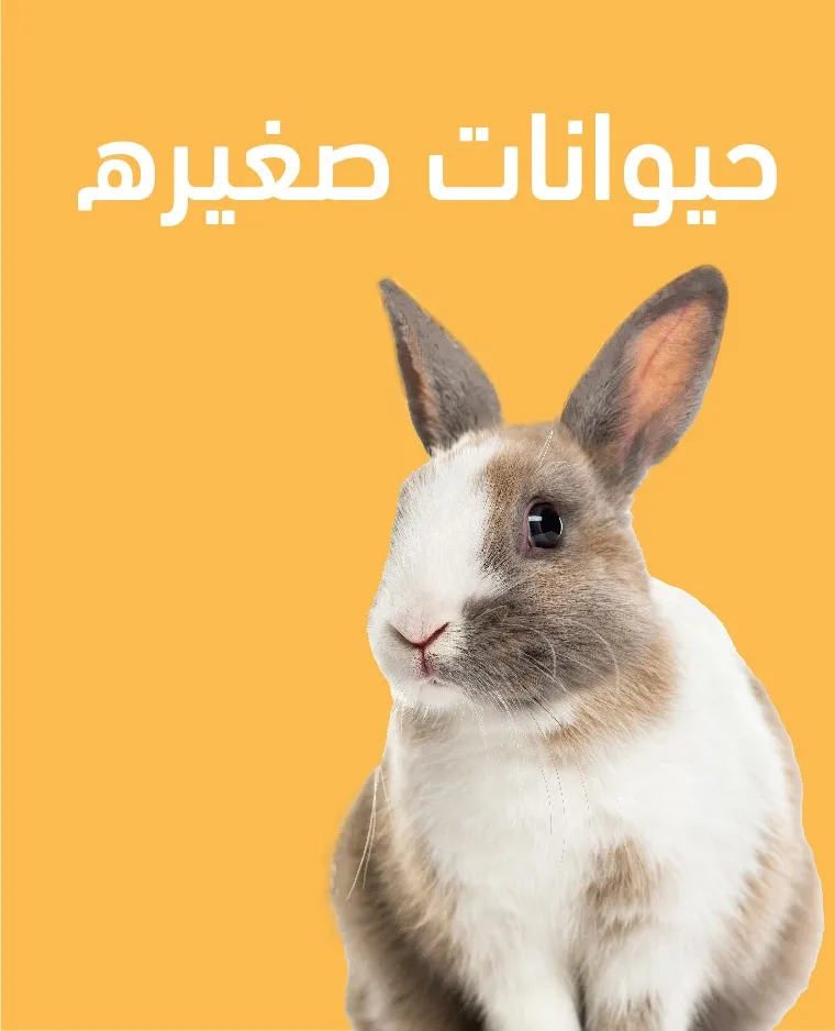 petpoint