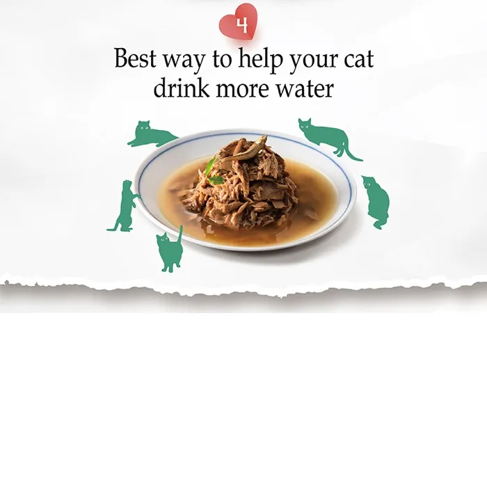 petpoint