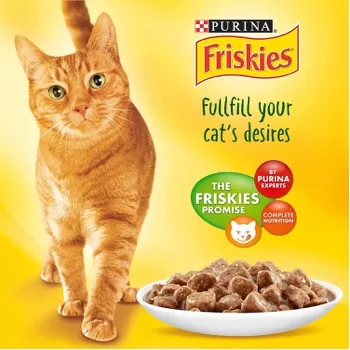 petpoint