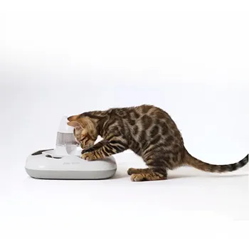 petpoint