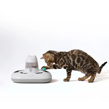petpoint