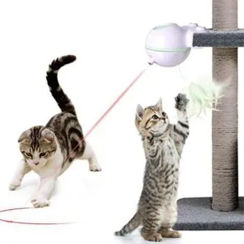 petpoint