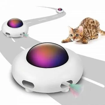 petpoint