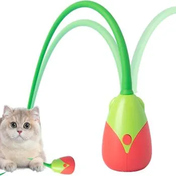 petpoint