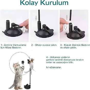 petpoint