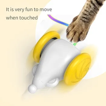 petpoint