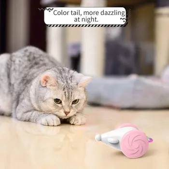 petpoint