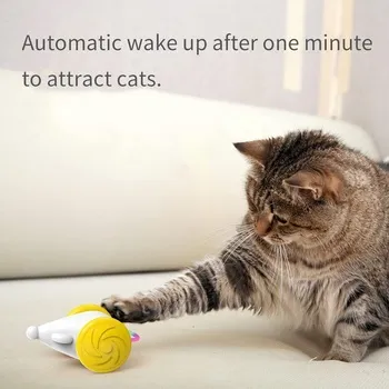 petpoint