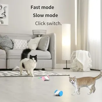 petpoint