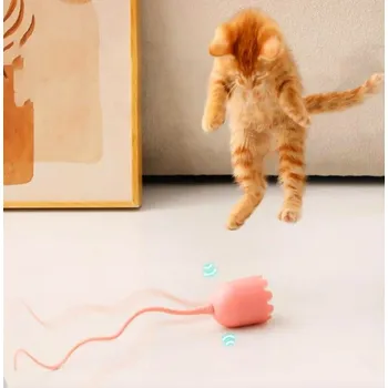 petpoint