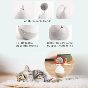 petpoint