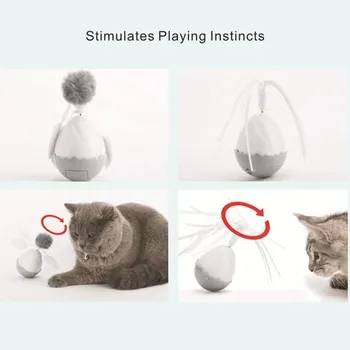 petpoint