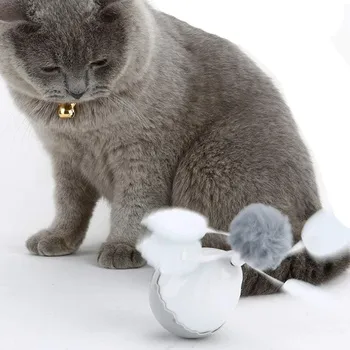 petpoint