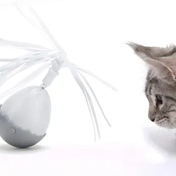 petpoint
