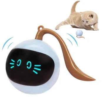 petpoint
