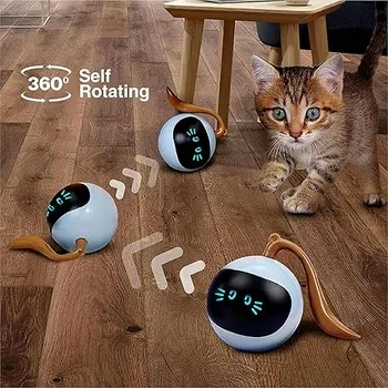 petpoint