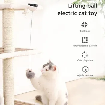 petpoint