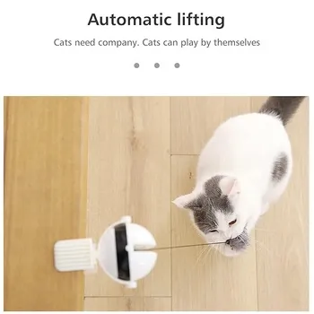 petpoint