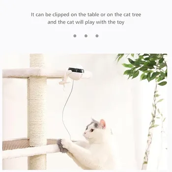 petpoint