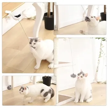 petpoint