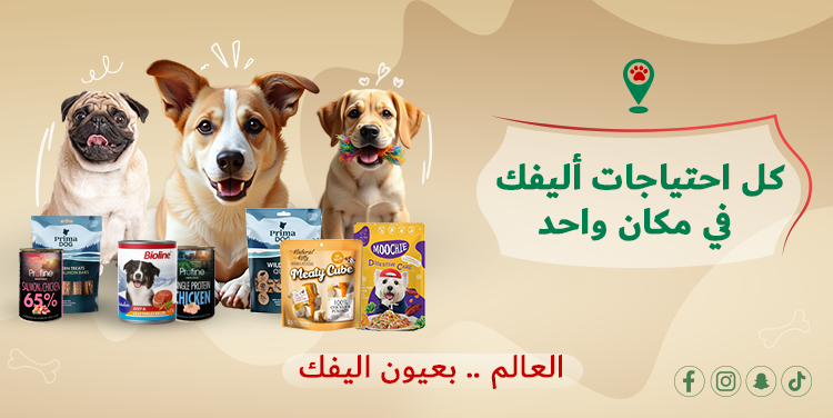 petpoint